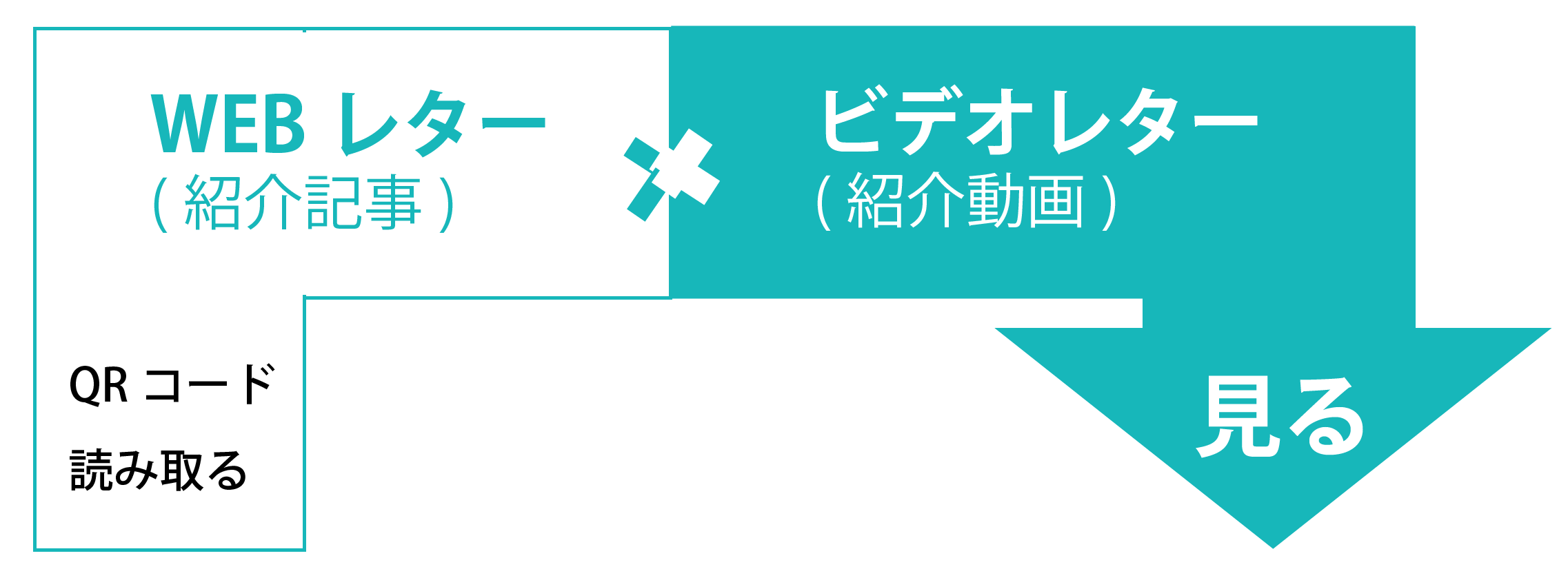 手紙営業/採用代行　株式会社Todokeru